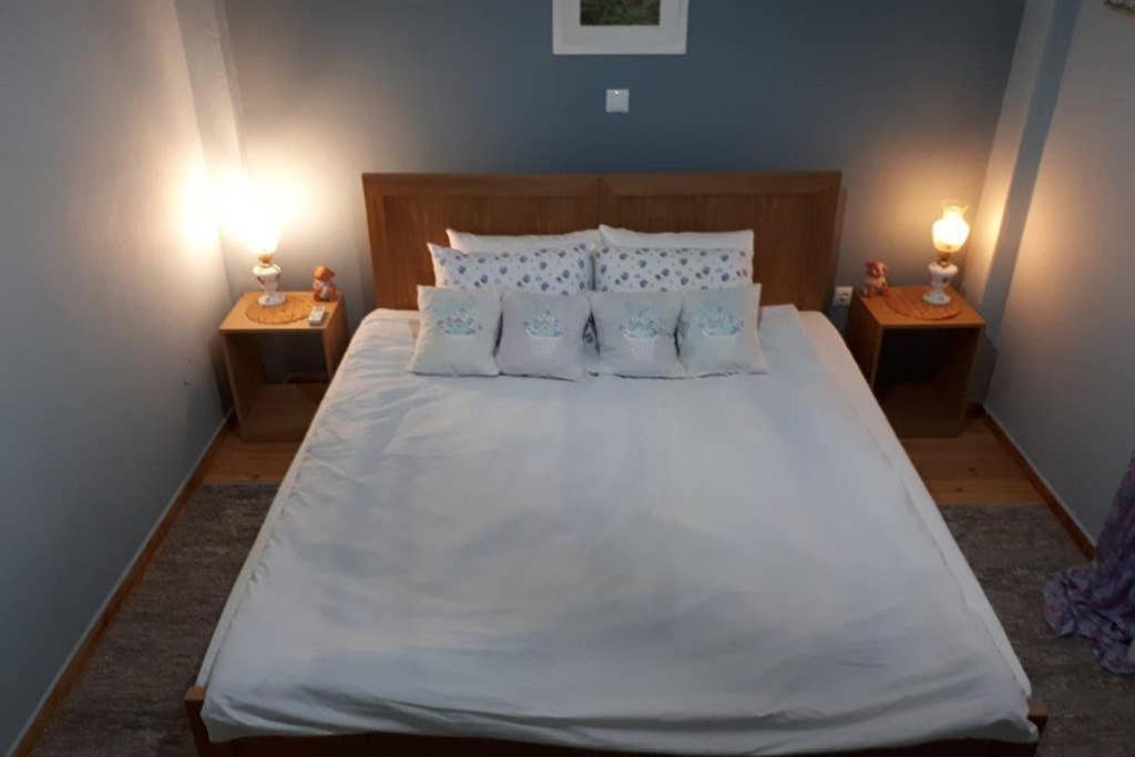 Quiet, Fully Refurbished Apartment In เทสซาโลนิกิ ภายนอก รูปภาพ